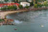 swimpan.jpg (98224 bytes)